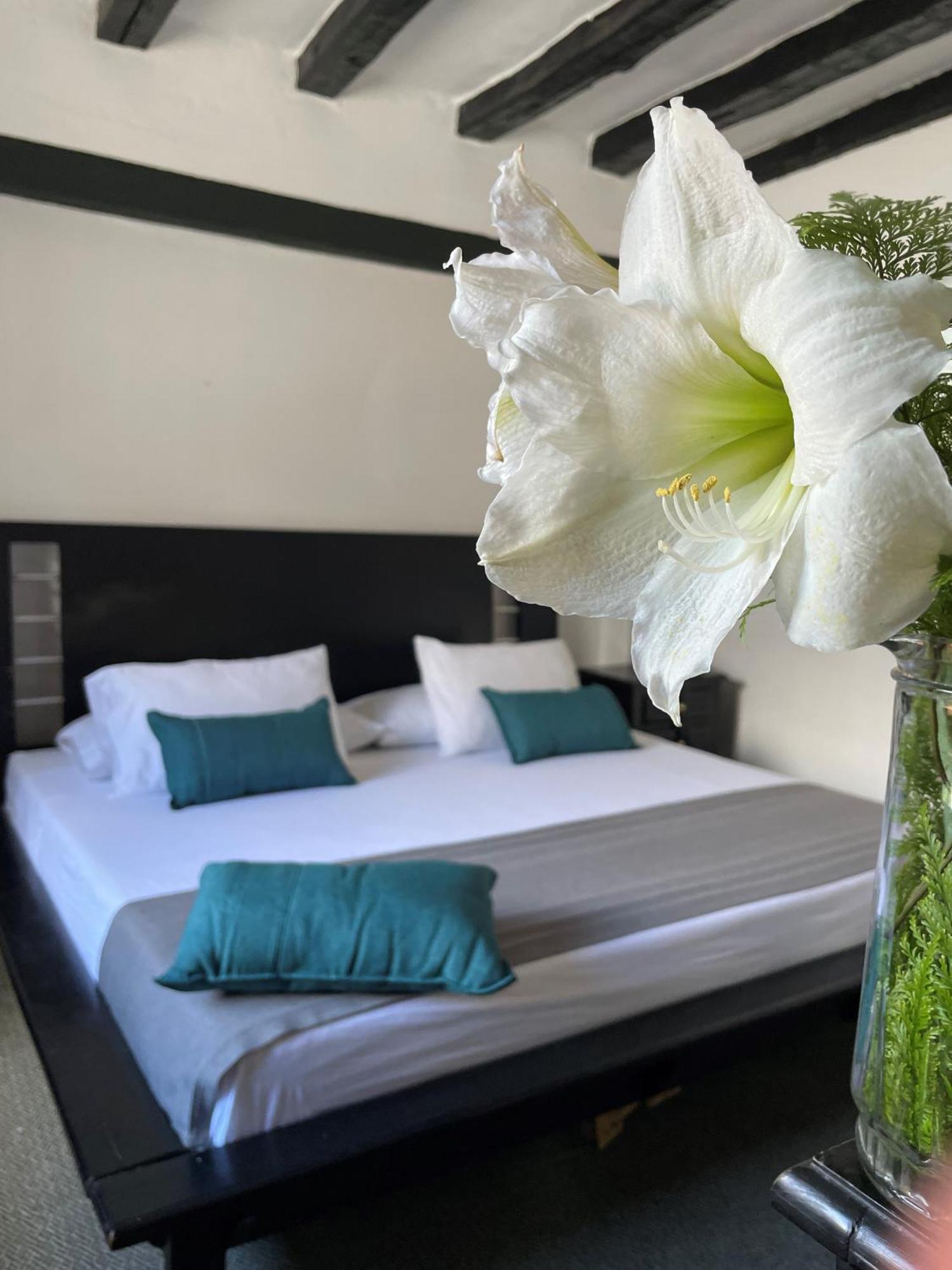 מדיין Hotel Premium Real מראה חיצוני תמונה